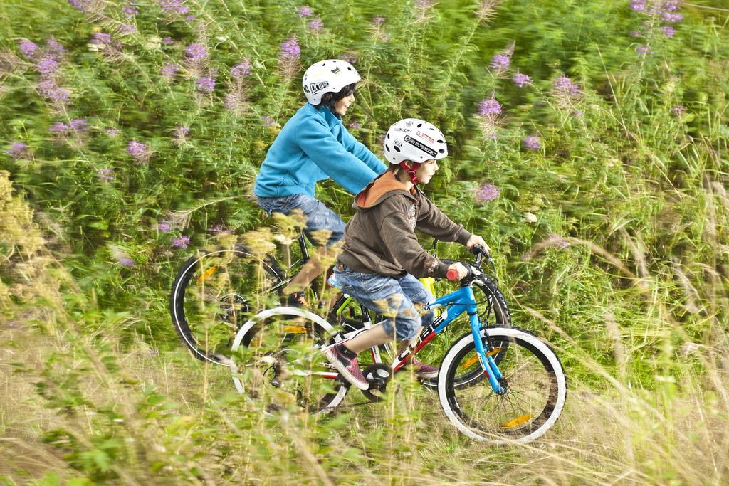 Les Roulottes De La Risle Hébergement de vacances *